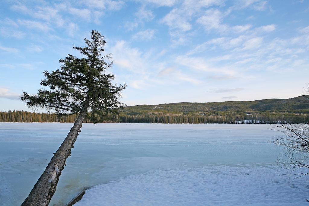 Lac Le Jeune Wilderness Resort Kamloops Buitenkant foto